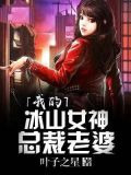 我的冰山女神总裁老婆