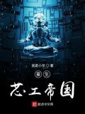 重生芯工帝国